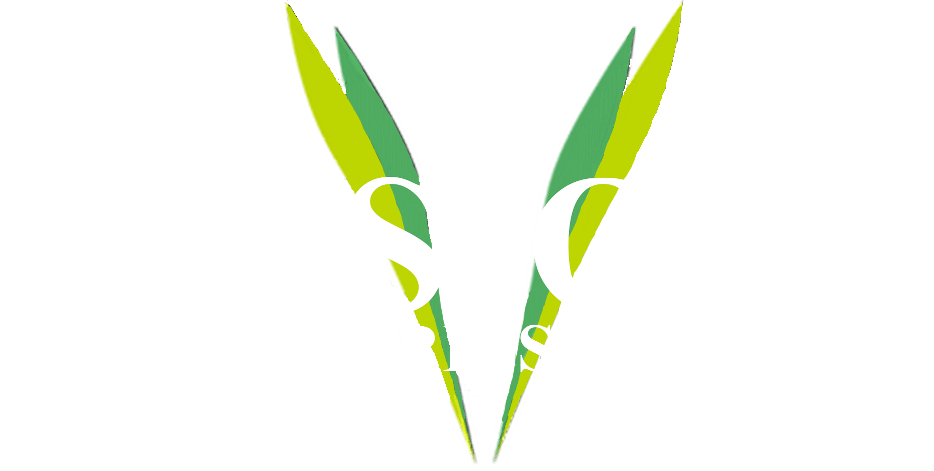 Vision Landscape Services Logo