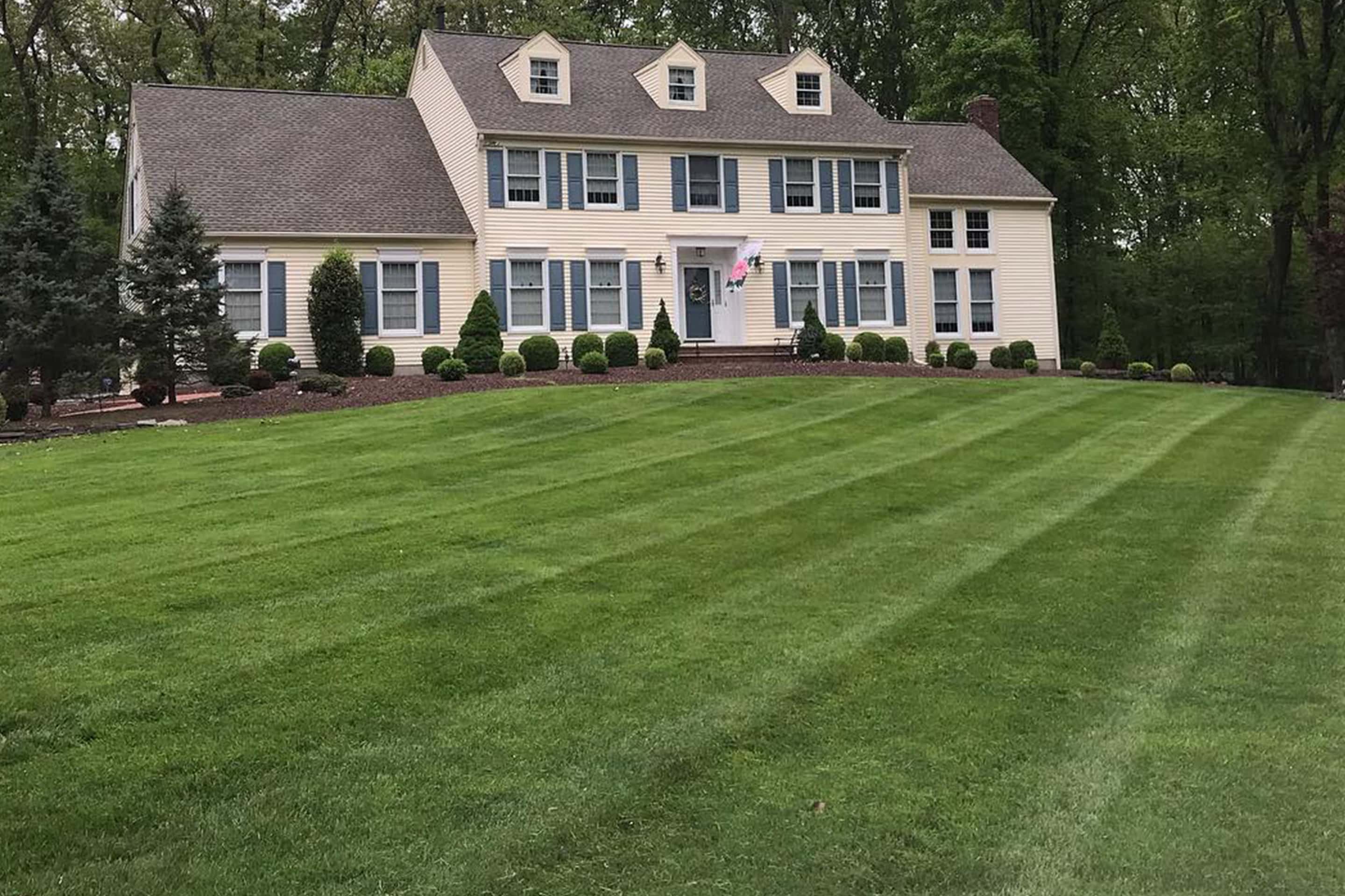 Vision Landscape Services' lawn care and maintenance enhances curb appeal - green lawn accented by a mixture of ornamental shrubs and plants