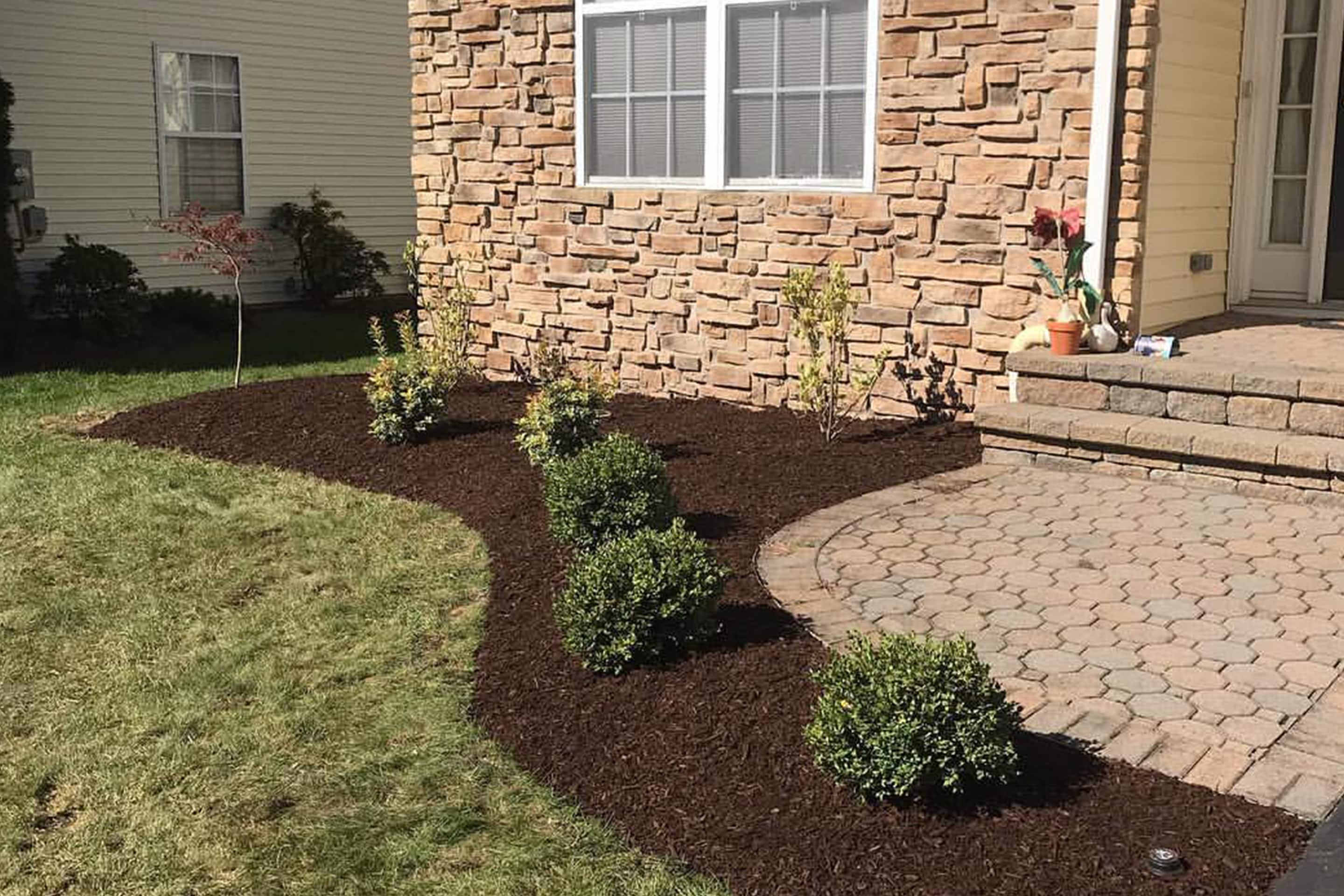 mulch area with new shrubs by paver walkway - Landscape Installations by Vision Landscape Services